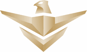 National Security Services Company